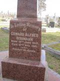 image of grave number 233894